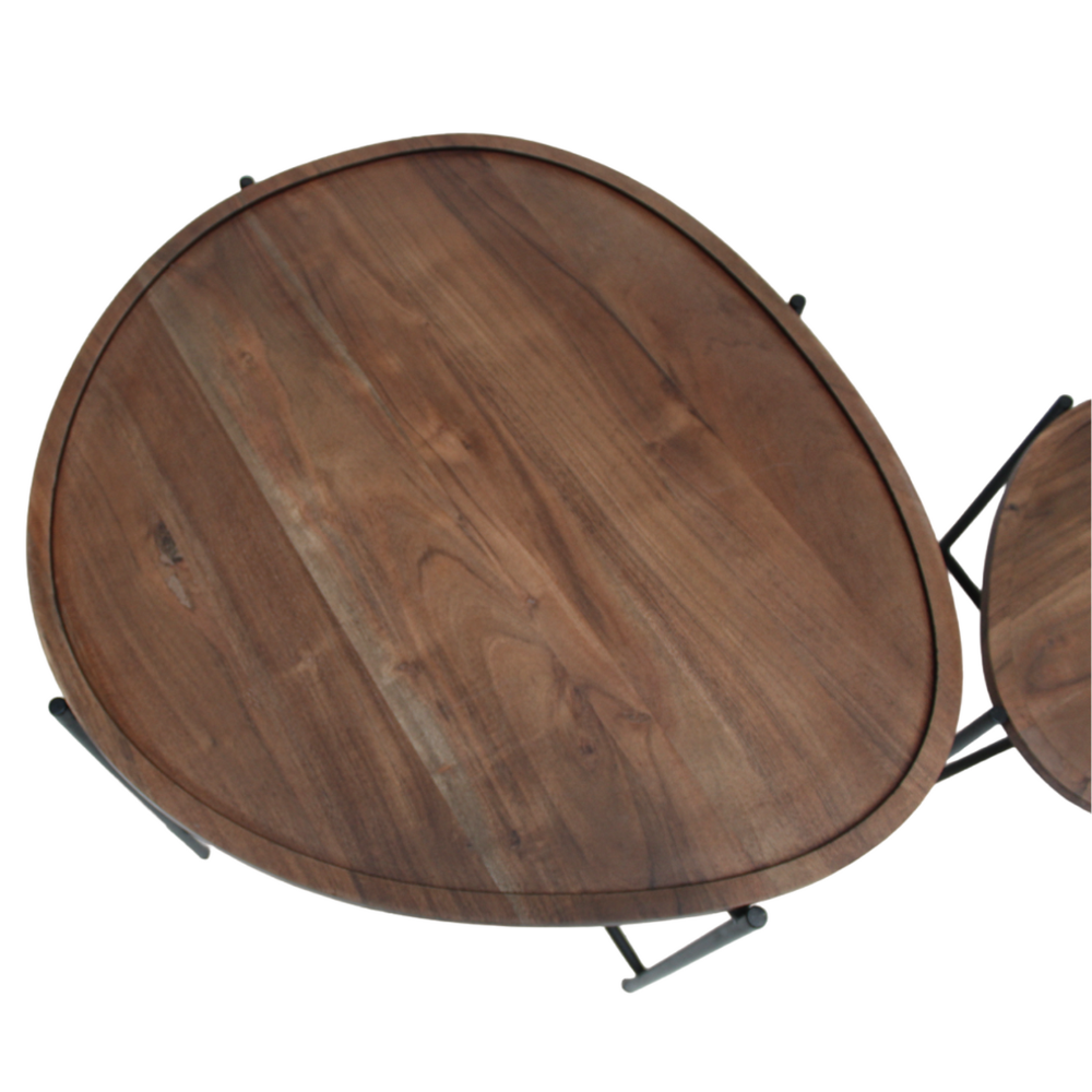 Organische salontafel set van 2 Lisse mangohout