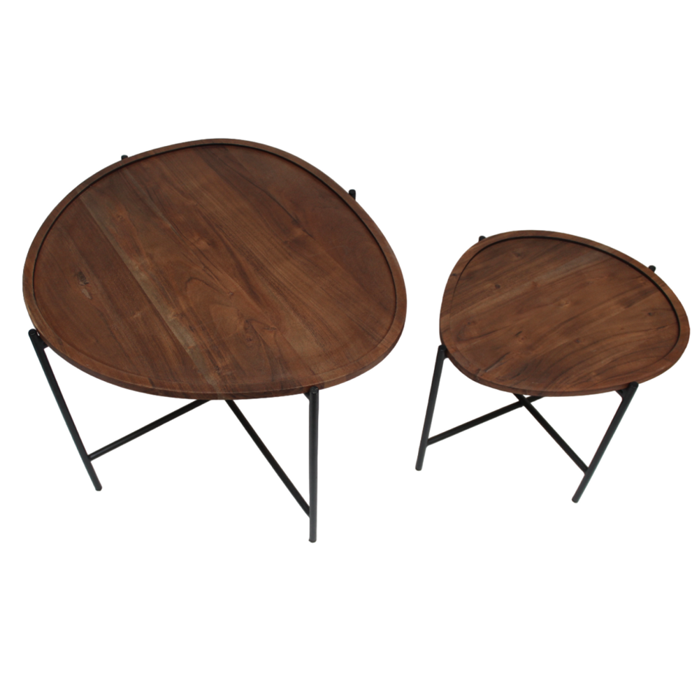Organische salontafel set van 2 Lisse mangohout