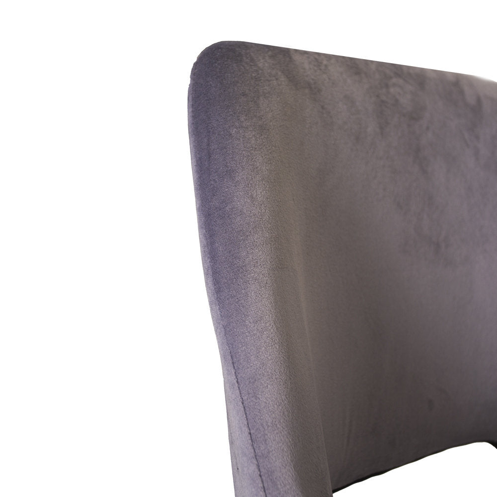 Senn grey