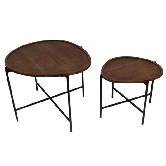 Organische salontafel set van 2 Lisse mangohout